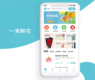 商洛小程序定制竞拍电商系统提供最佳的应用程序定制服务【低价秒杀，值得期待】
